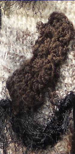 Barbara Pretzsch croche